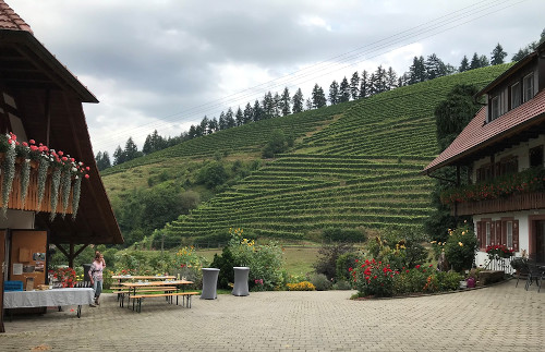 Winzerhof Seester im Kinzigtal